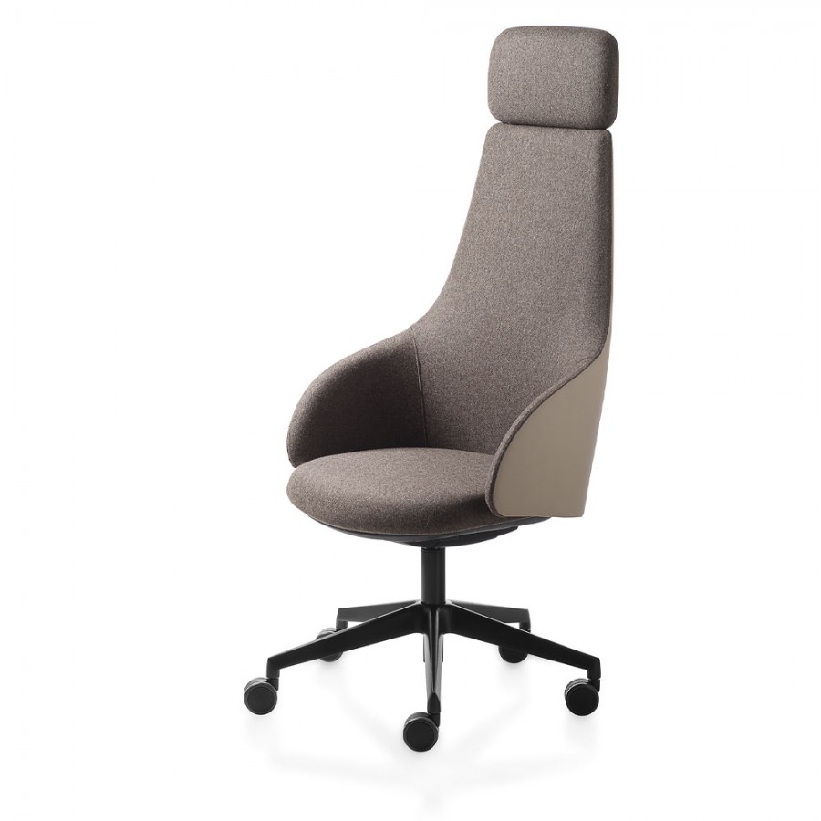 Scaun executiv Kastel, Kontea executive